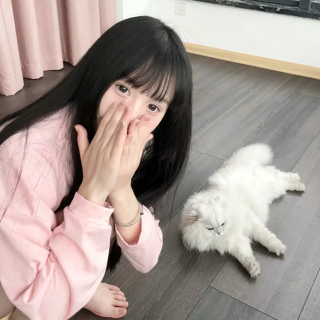 红衣手记粤语
